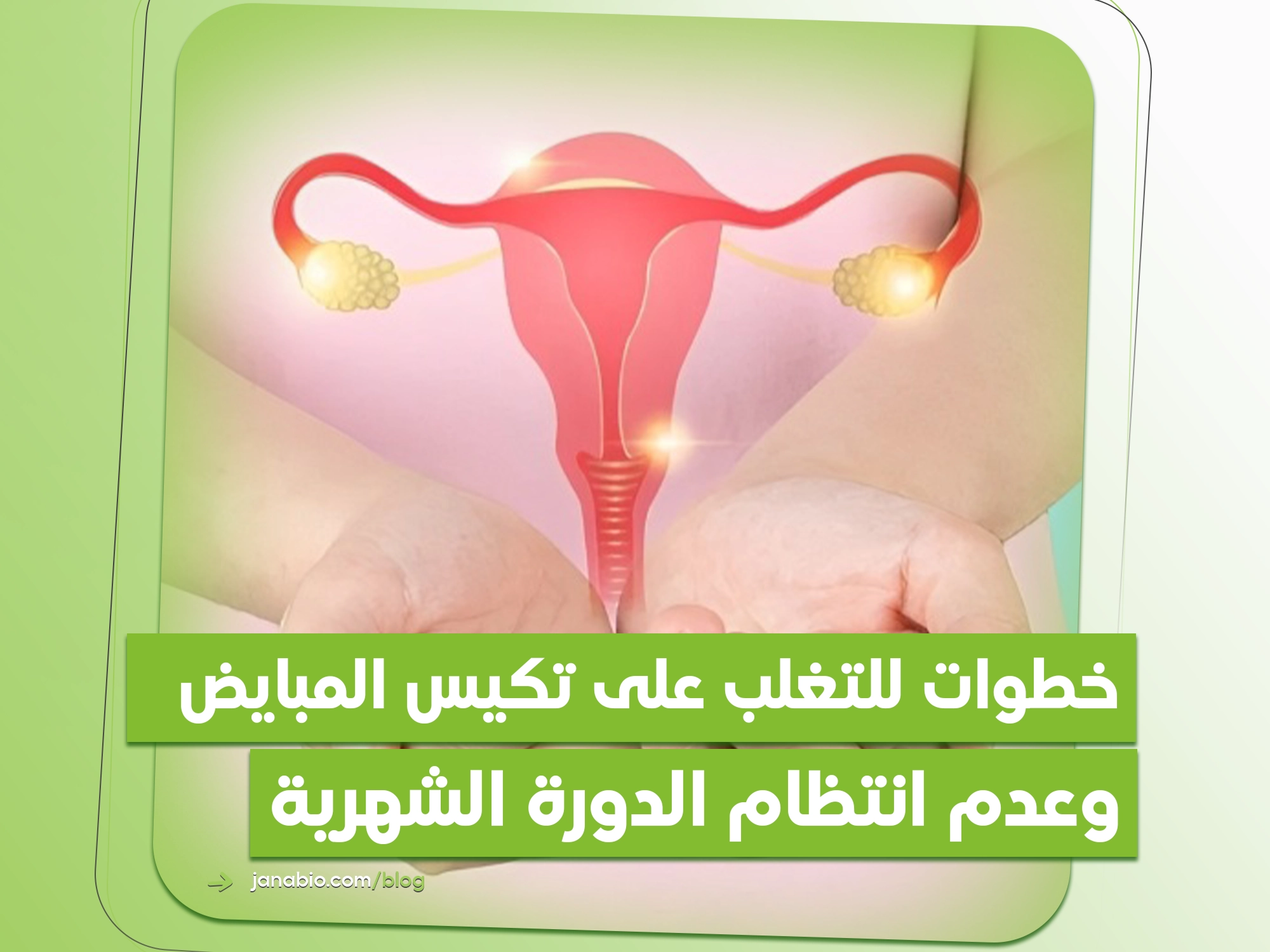 علاج تكيس المبايض وانتظام الدورة: 5 خطوات فعّالة لاستعادة التوازن