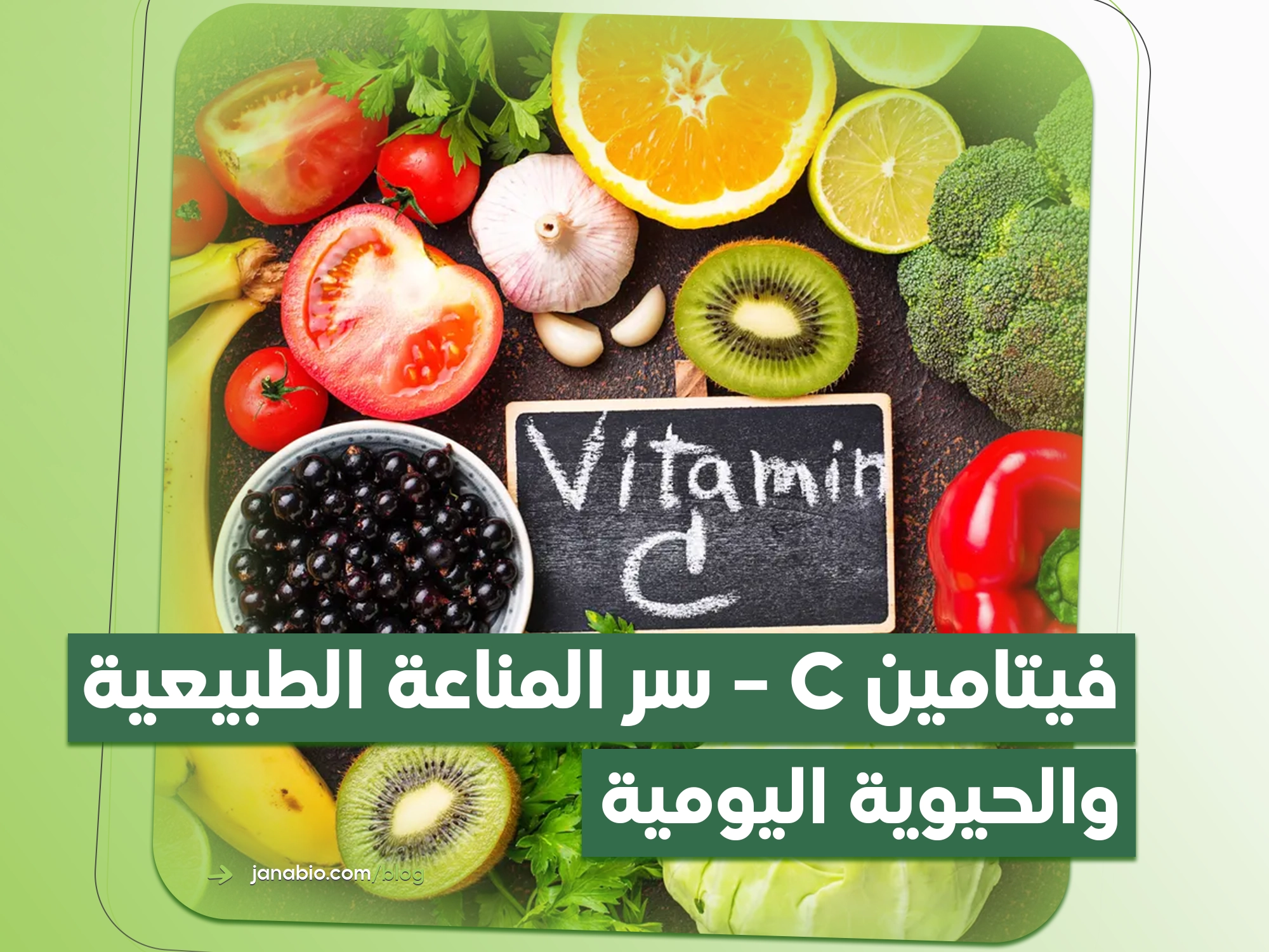 فيتامين C – سر المناعة الطبيعية والحيوية اليومية