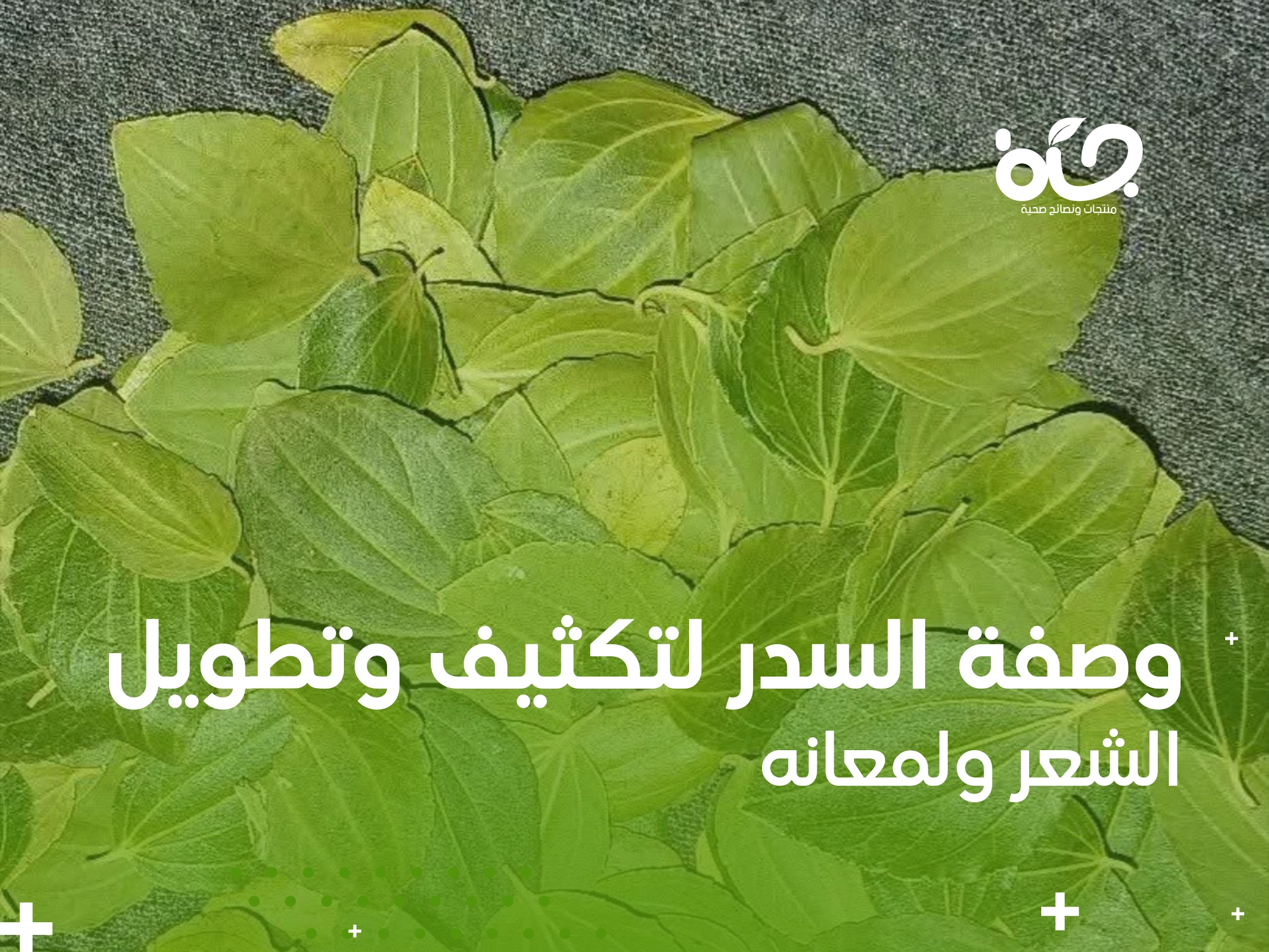 وصفة السدر لتكثيف وتطويل الشعر ولمعانه