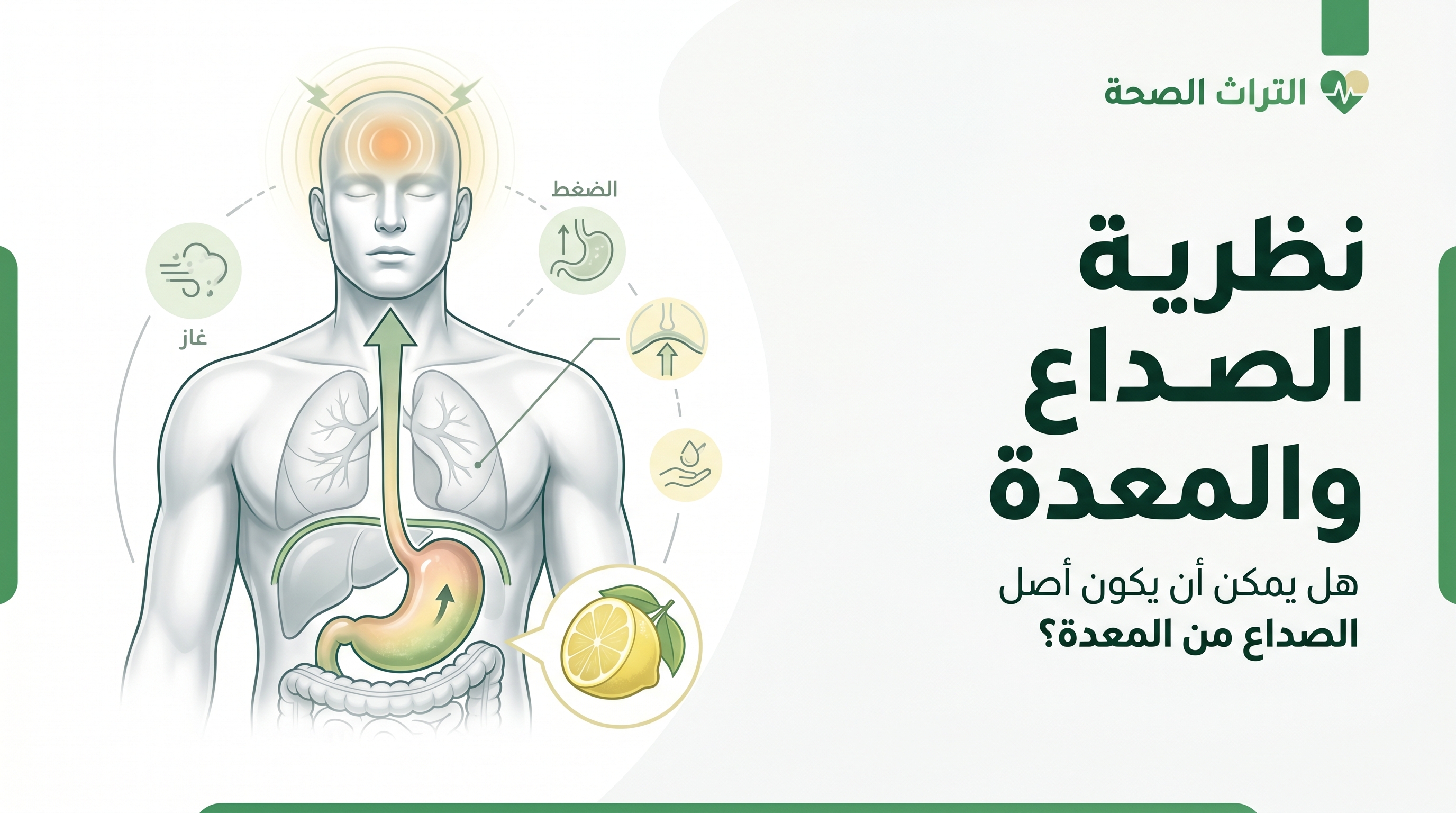 نظرية الصداع والمعدة: هل يمكن أن يكون أصل الصداع من المعدة؟